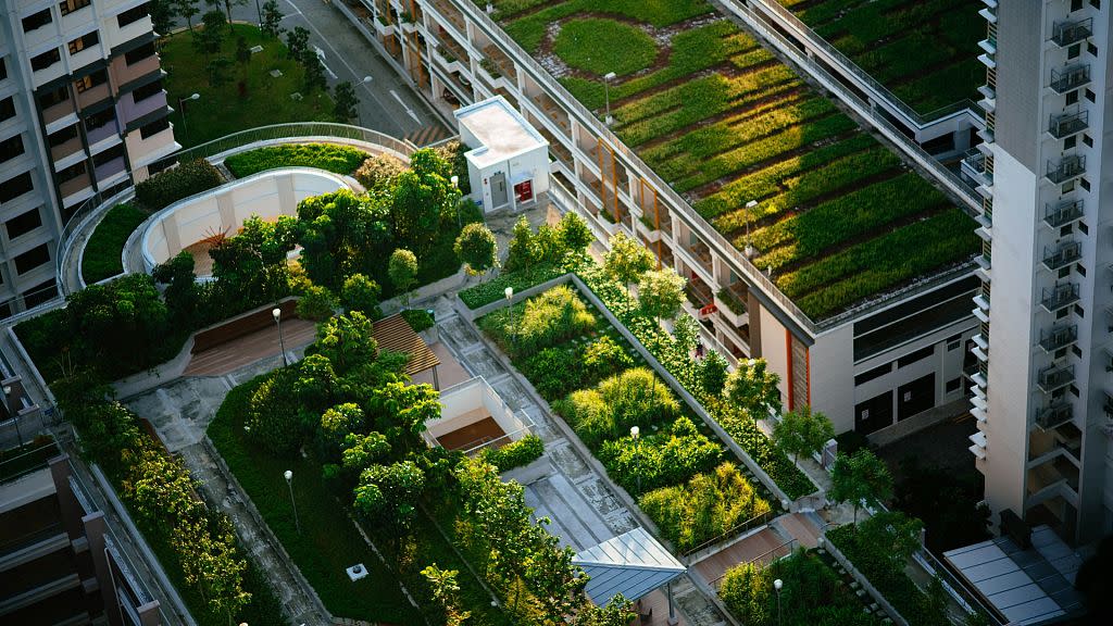 Solar integration and volcanic ash: How Europe is cooling cities with green roofs