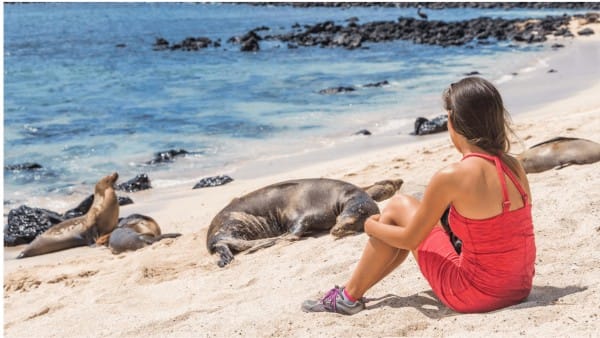 Galapagos Islands Eco-Friendly Travel Guide: Sustainable Tourism Series Update