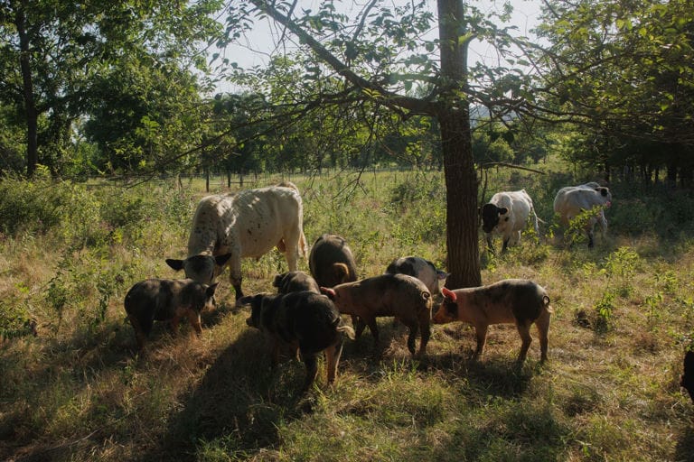 US Farmers Want to Adapt to Climate Change, But Crop Insurance Won’t Let Them