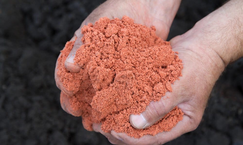 Savvy Investors Are Creating Eco-Friendly Portfolios