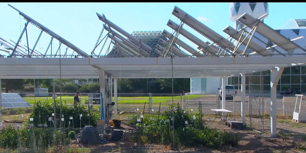 U of A research looks at how solar energy in agricultural areas increases production for both