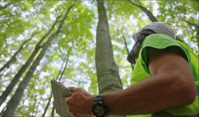 Safeguarding Endangered Species