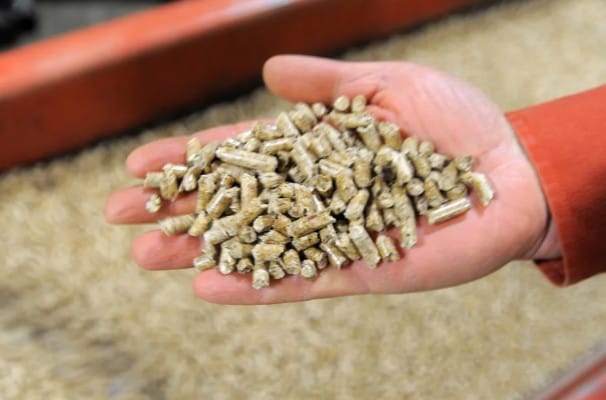Wood pellets production boomed to feed EU demand. It’s come at a cost for Black people in the South
