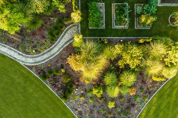 Meet the Anti-Lawn Movement—a Landscaping Trend That Supports Eco-Friendly Alternatives to Grass