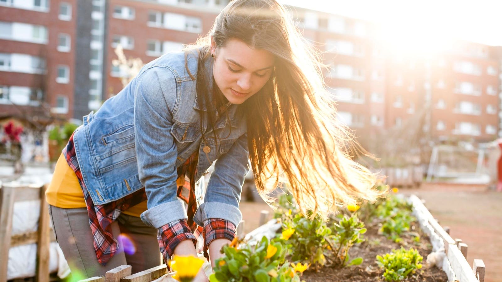 Bringing Nature Home: How Biophilic Design Enhances Multifamily Life