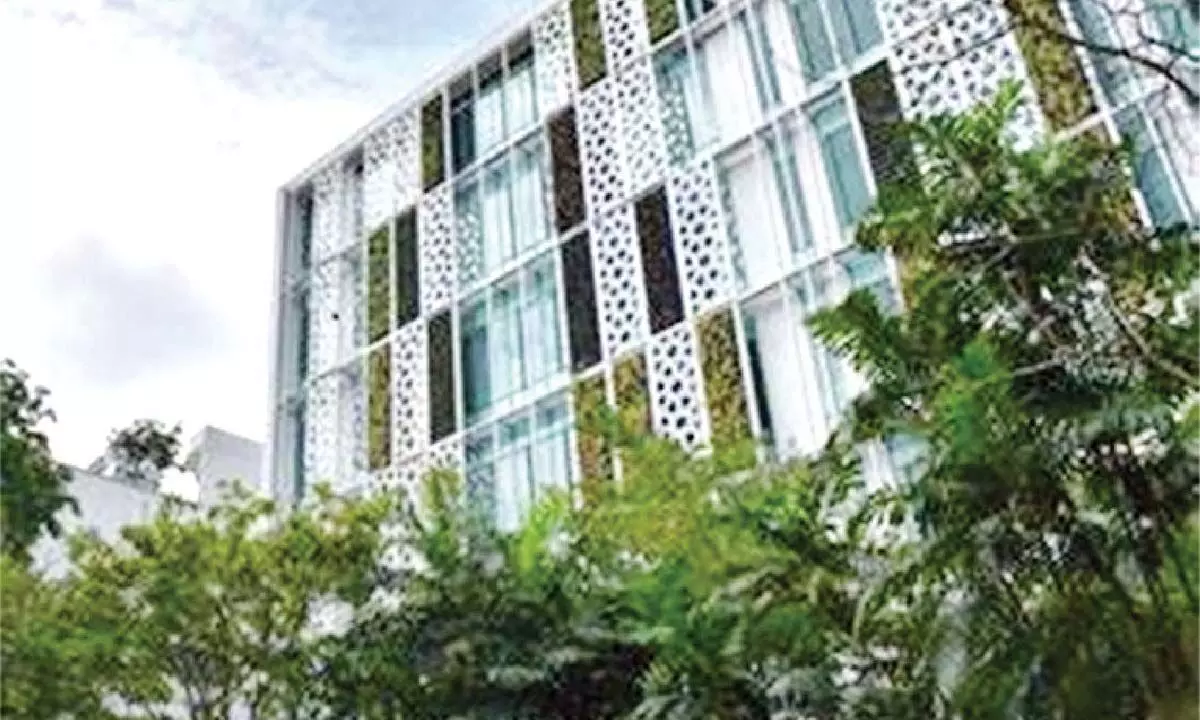 More companies lease green offices to meet sustainability targets