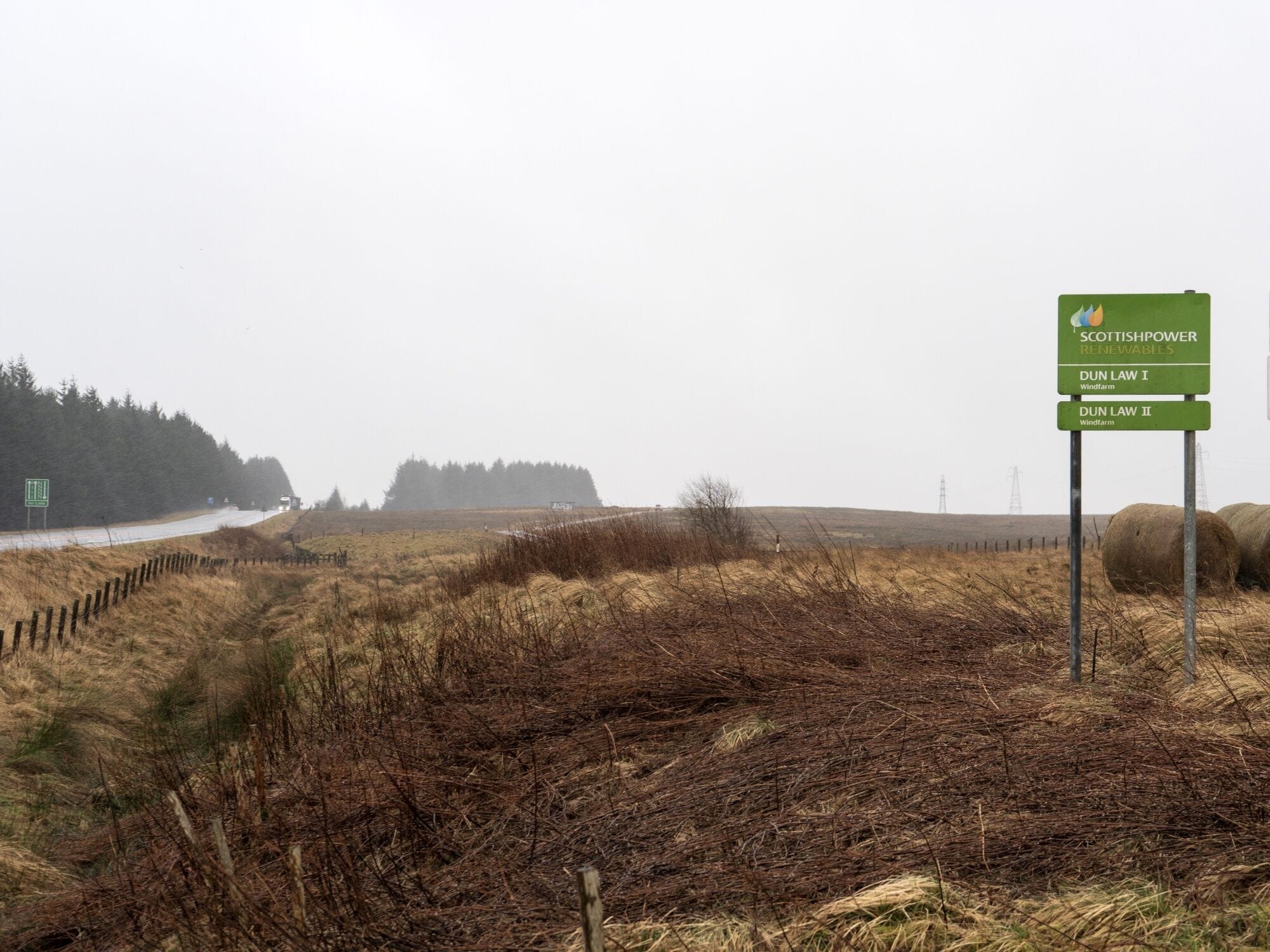 ‘Electrification Is Unstoppable’: A Utility CEO on Building a Better Grid