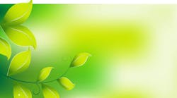 The rise of green dentistry