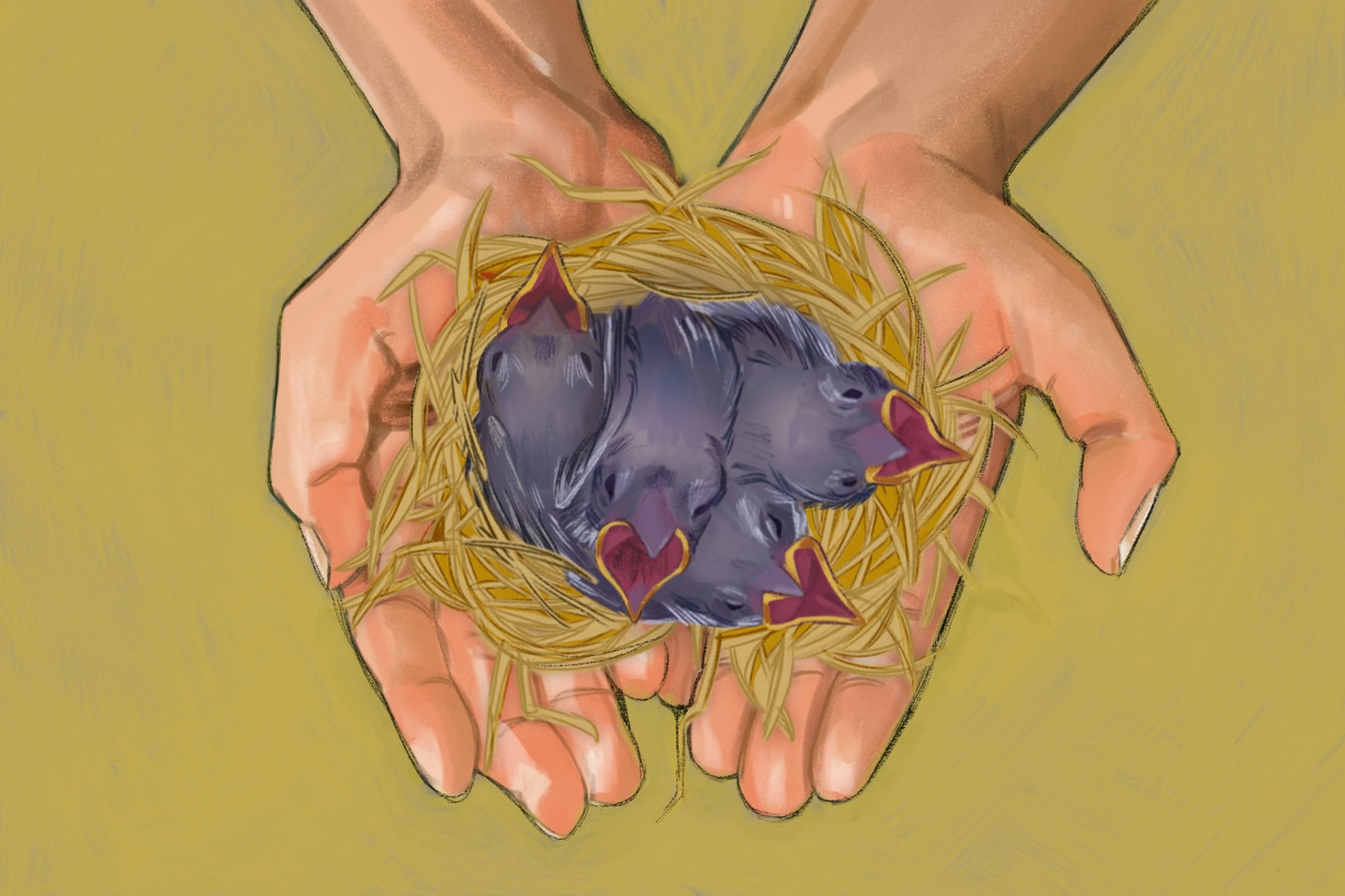 Ithaca Common Council to Consider Bird-Friendly Building Legislation