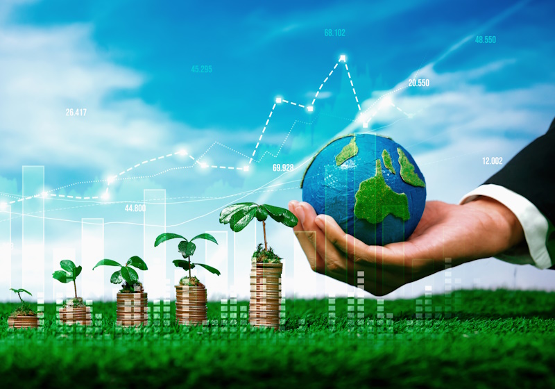 Investor quits fashion over ESG concerns