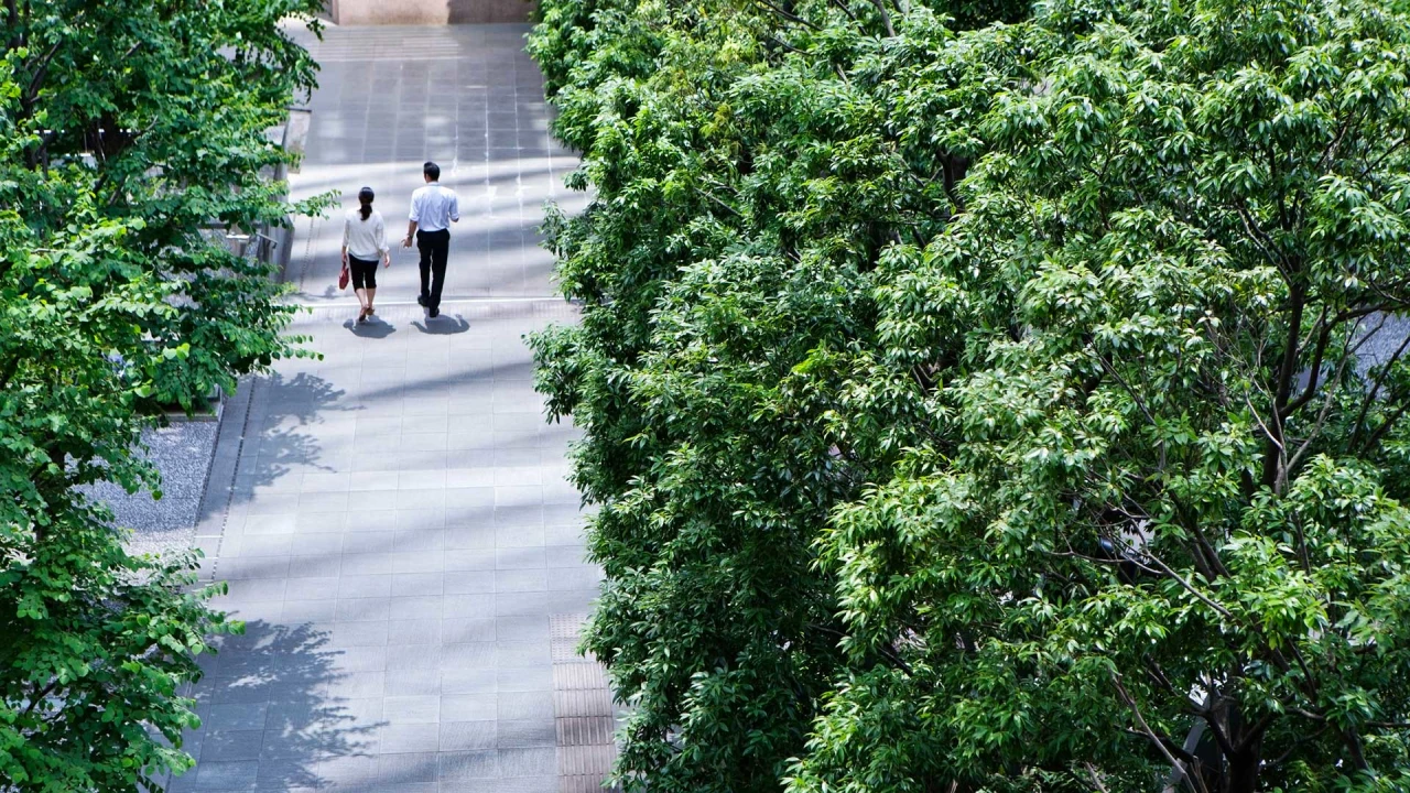 Building a Sustainable Future: How Companies Can Make a Positive Impact