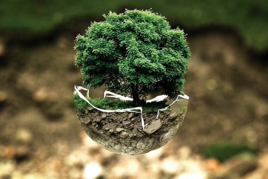 Here’s why ESG is crucial for insurers’ sustainability reporting