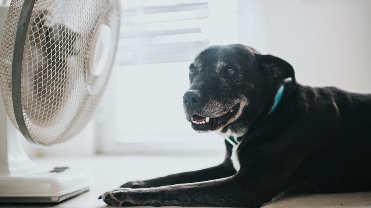 Keep Your Home Cool While Cutting Your Summer Energy Bills: Here's How