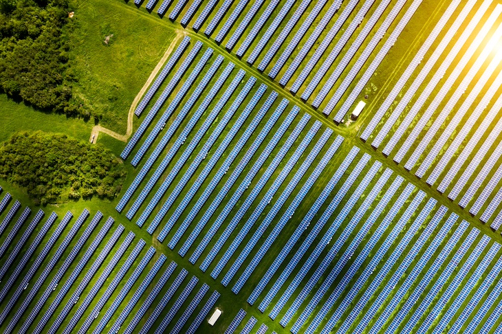 The terrifying scale of the green revolution