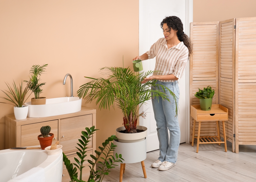 Eco-friendly upgrades for a greener home