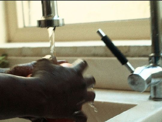 UAE releases sustainability guide with doable actions at home, work and travel