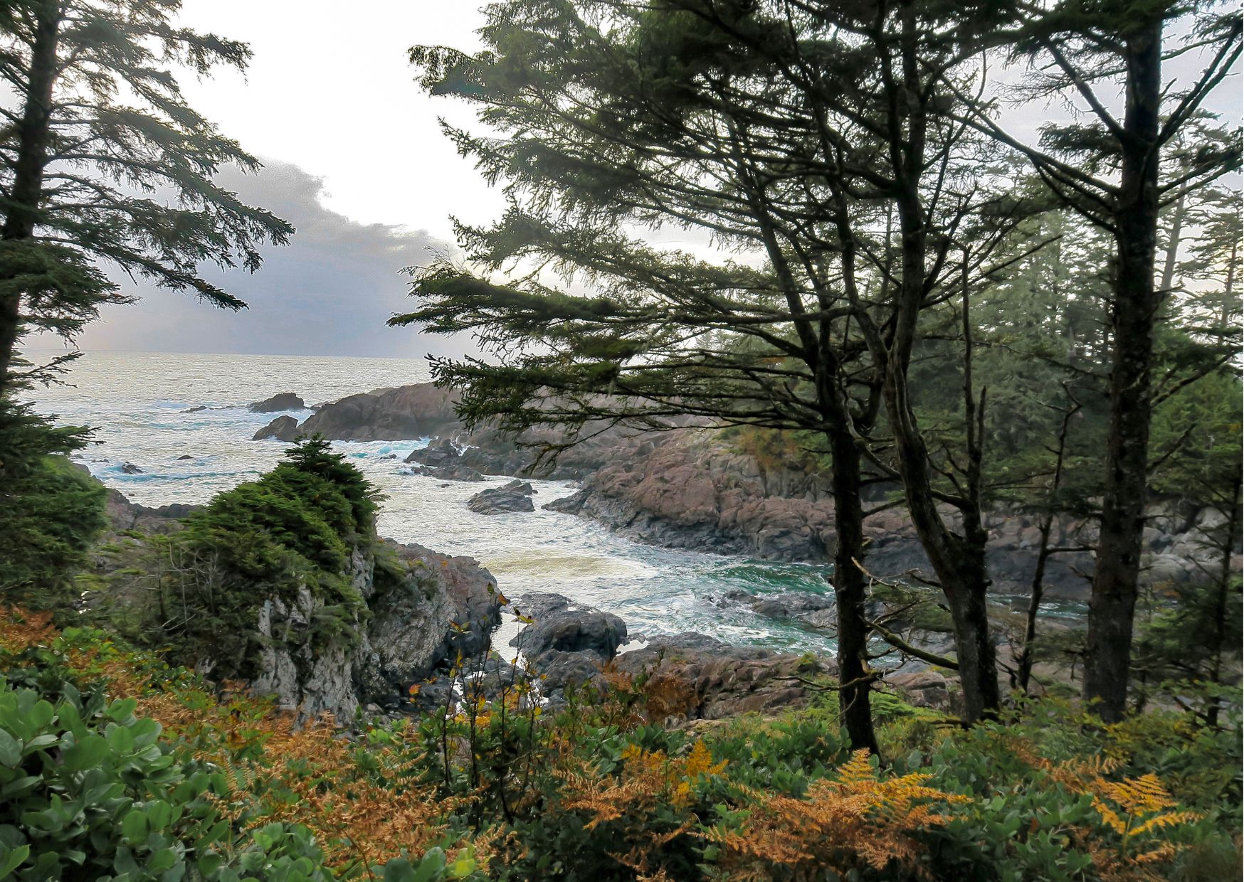 US – SEC Disbands Its Climate And ESG Enforcement Task Force.