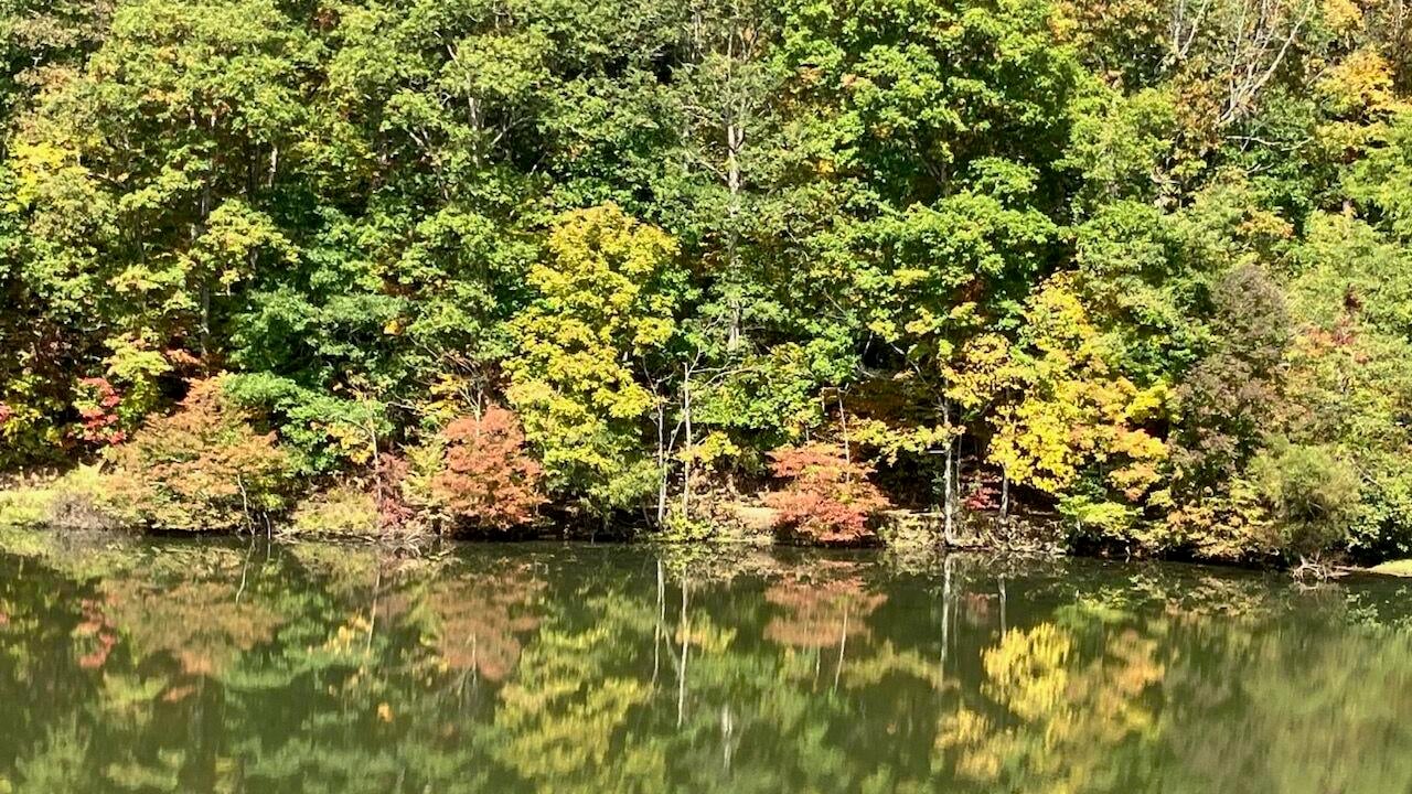 How to Design Great Houses That Protect Against Severe Weather Events