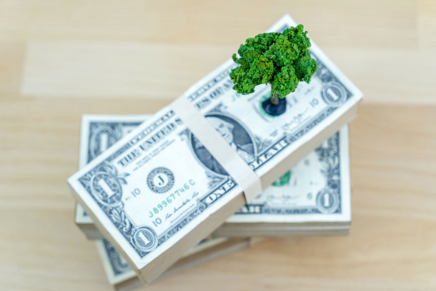 ESG bonds an additional arrow in advisor quiver, says Nuveen strategist