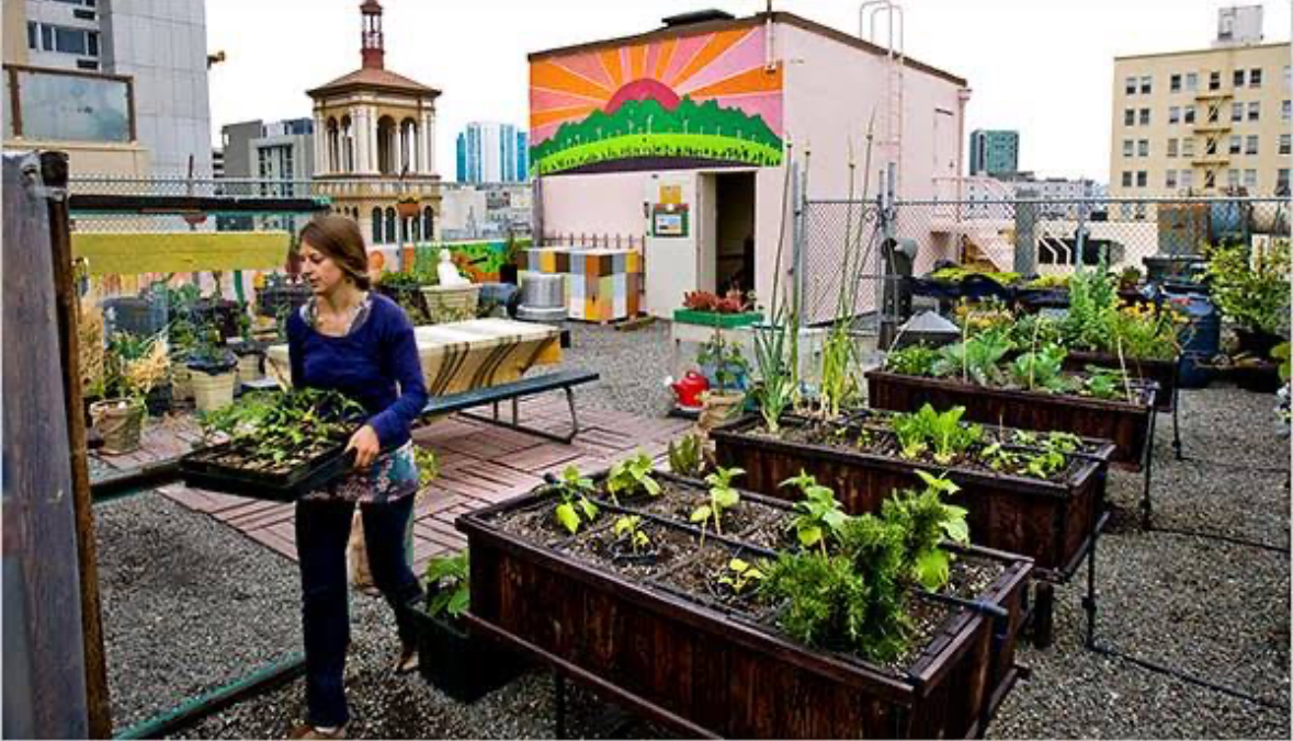 Climate Change: How Realtors, Cities’ Rooftops Can Lead Eco-Revolution