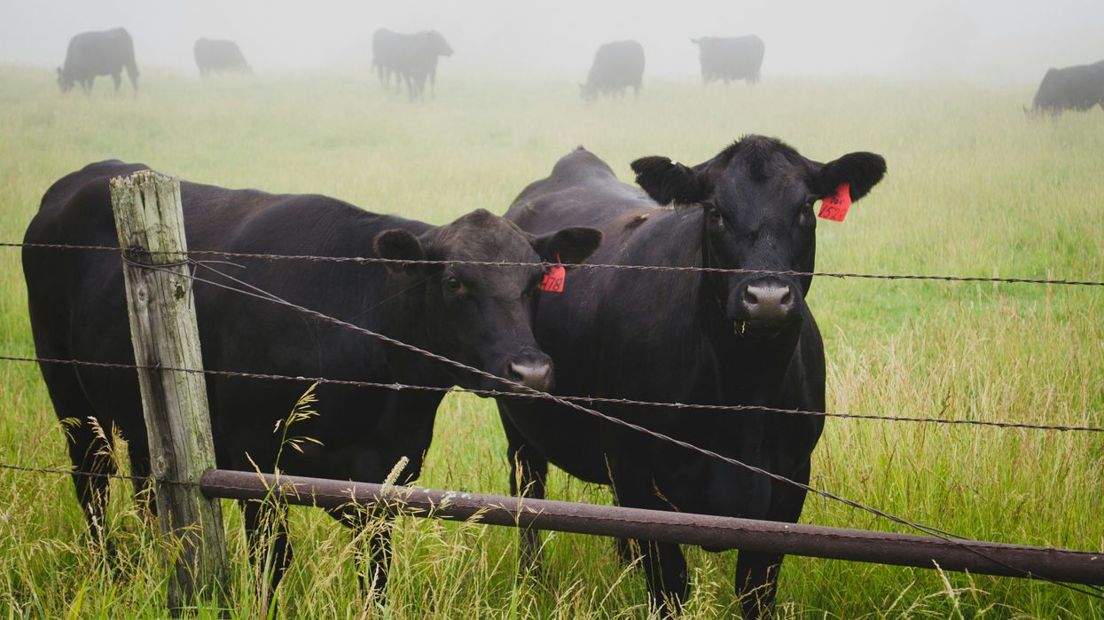 Food waste and agriculture are major drivers of methane emissions