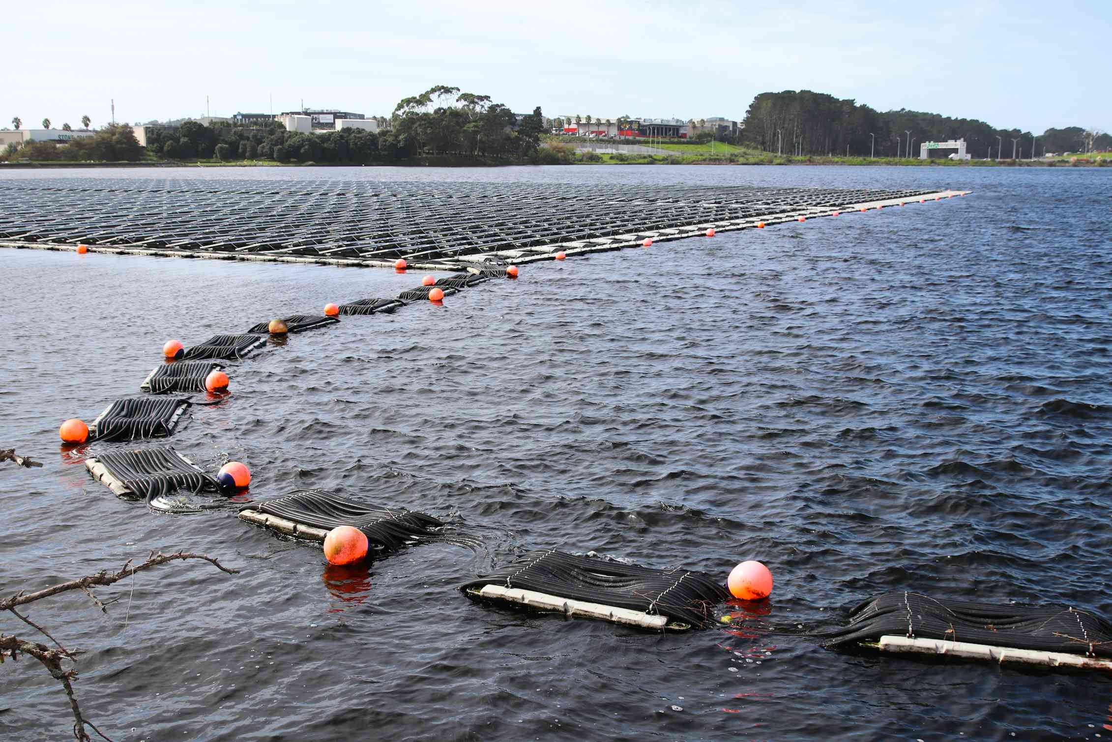 From waste to power: how floating solar panels on wastewater ponds could help solve NZ’s electricity security crisis