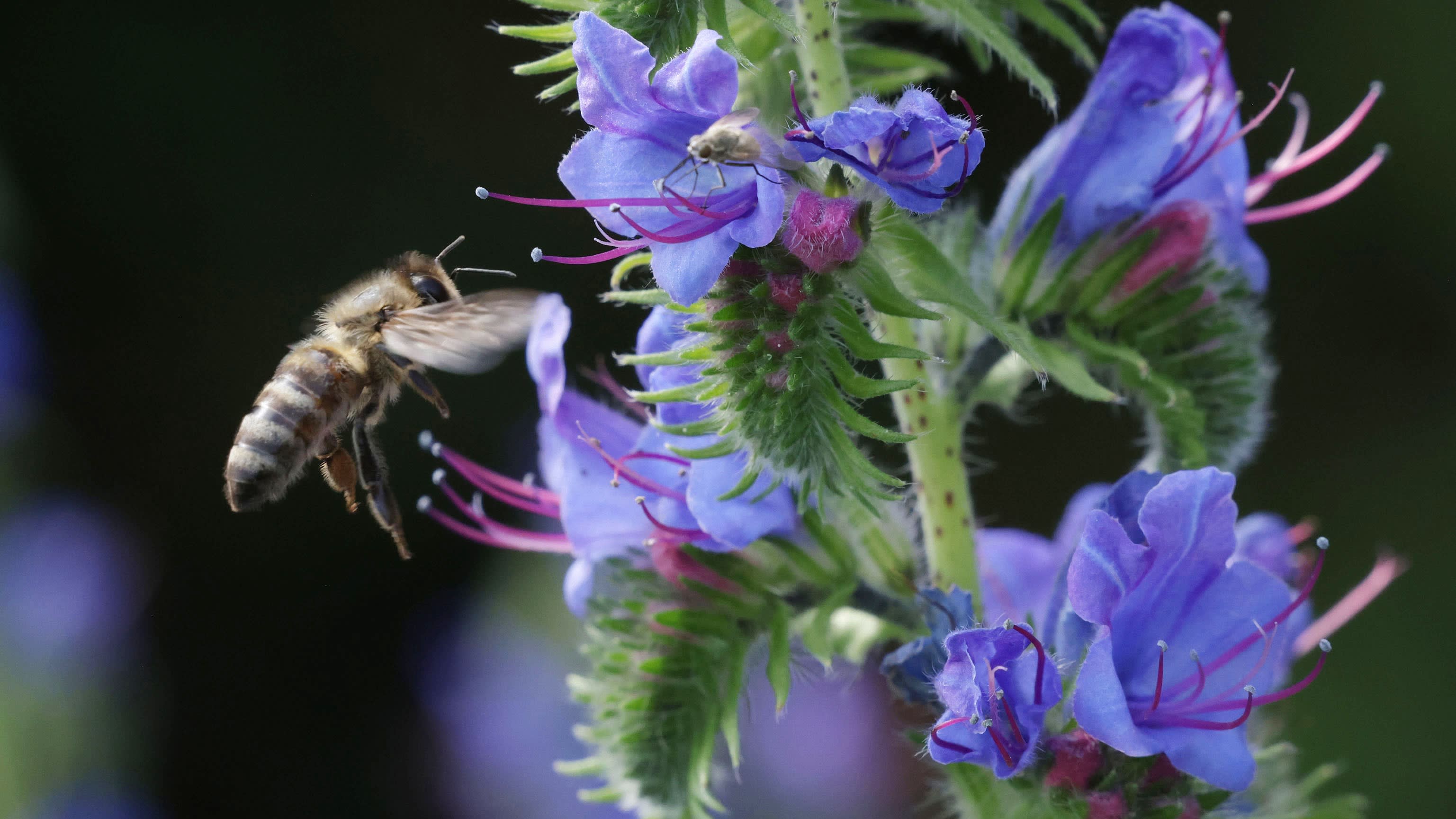 Investors need to better assess financial risks linked to protected areas