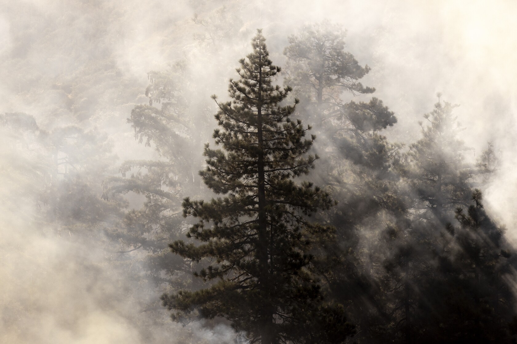 Worried about the economy, health care, immigration? Climate change impacts all of that.