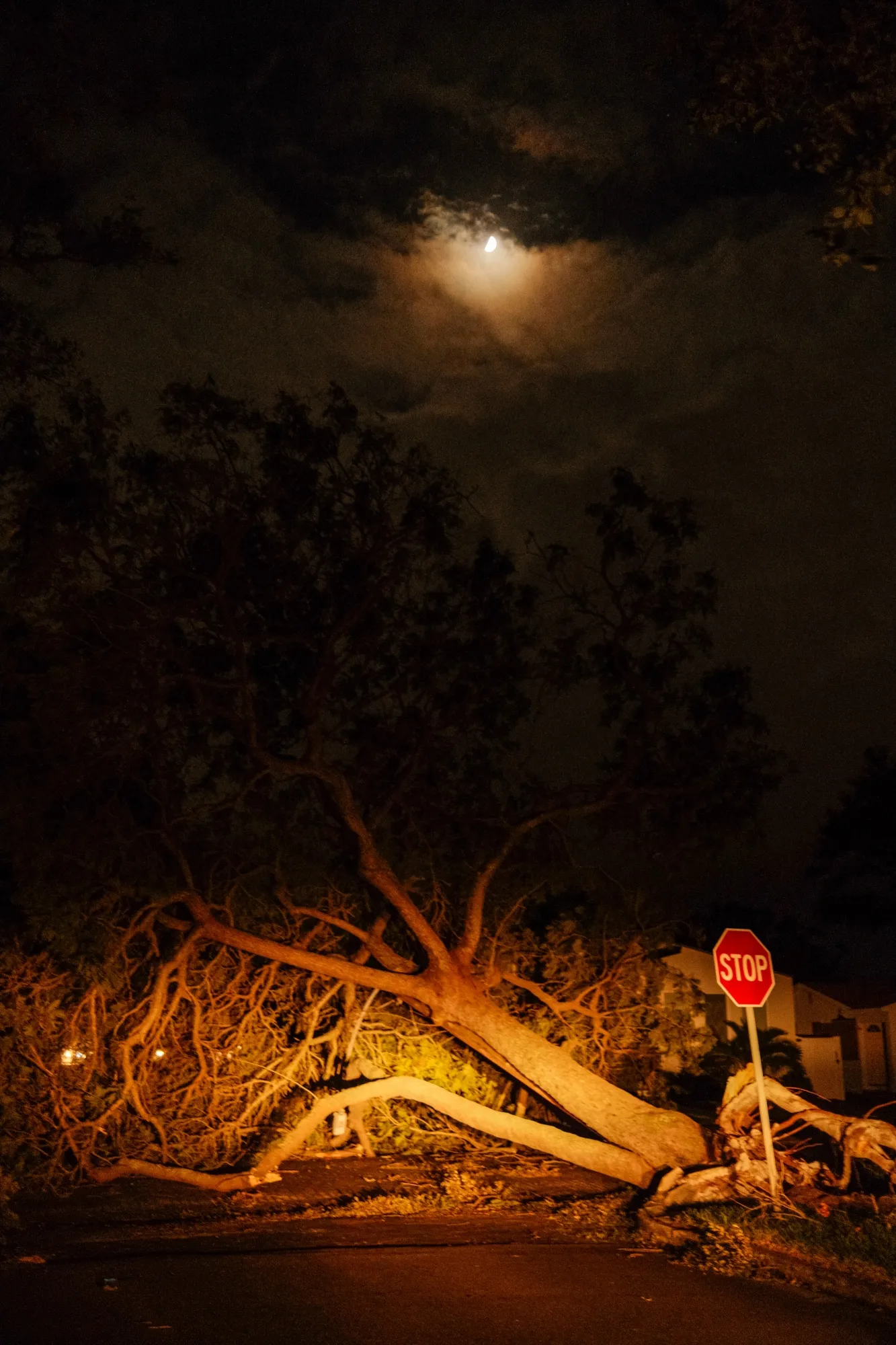 Florida Reels From Twin Storms and Flood of Misinformation