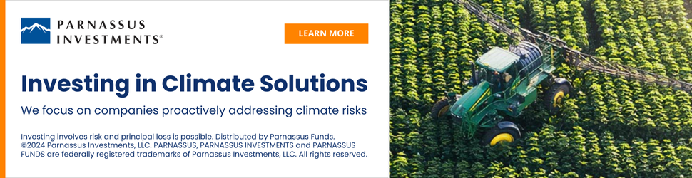 US trade barriers increase, raising concerns for Chinese renewable power