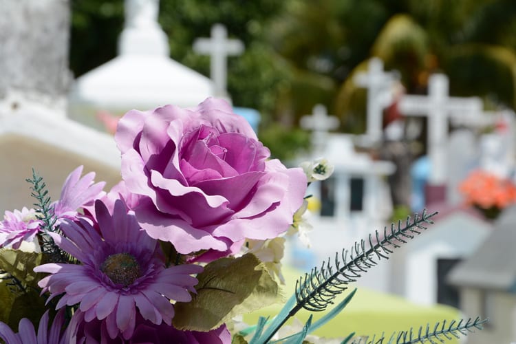Exploring the rise of eco-friendly burials for greener goodbyes