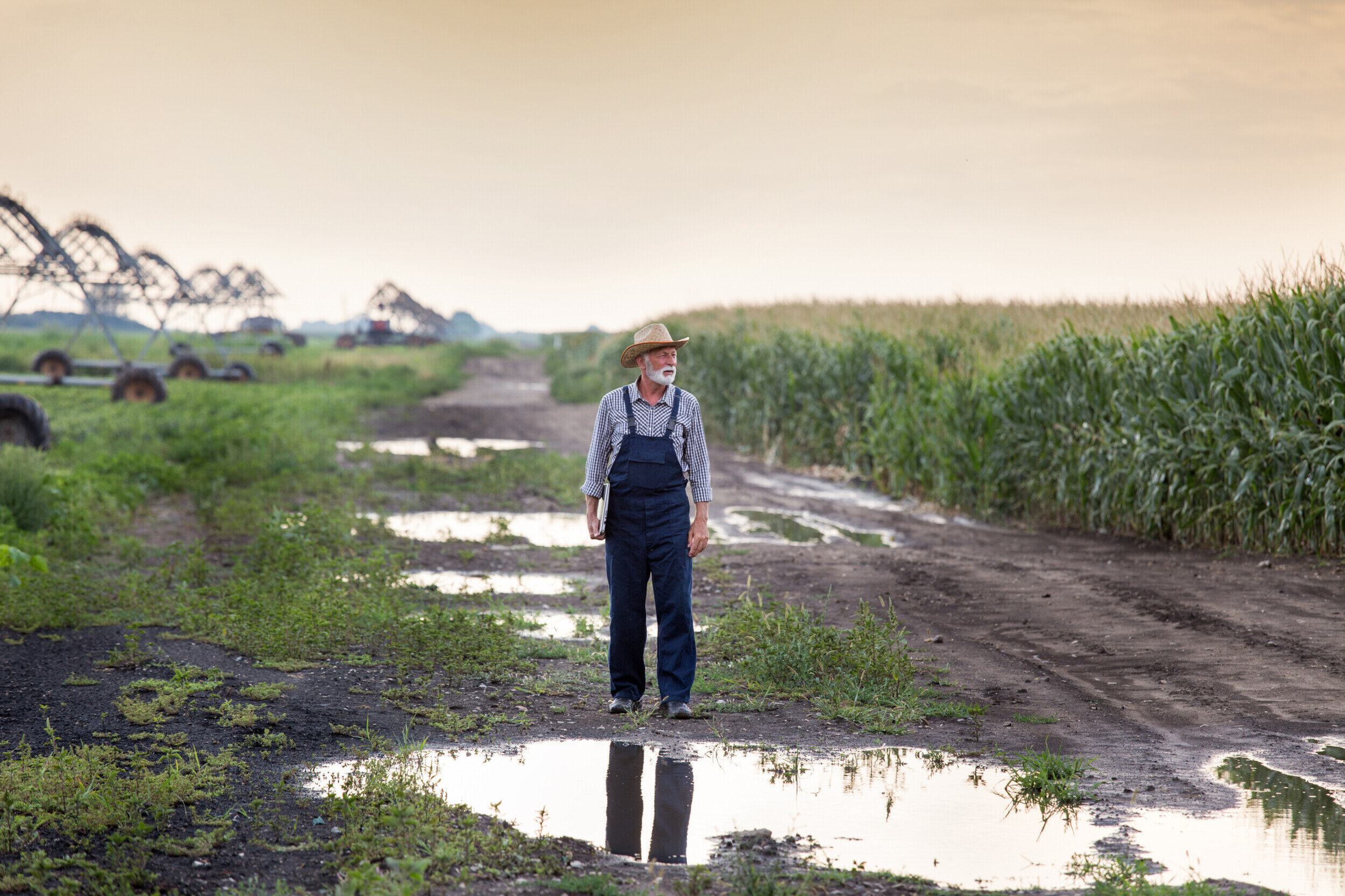 State Auditor Sorrell: ESG and the death of Alabama agriculture