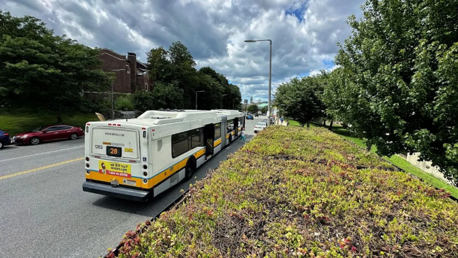 Green roofs on bus shelters are Boston’s latest climate resilience move