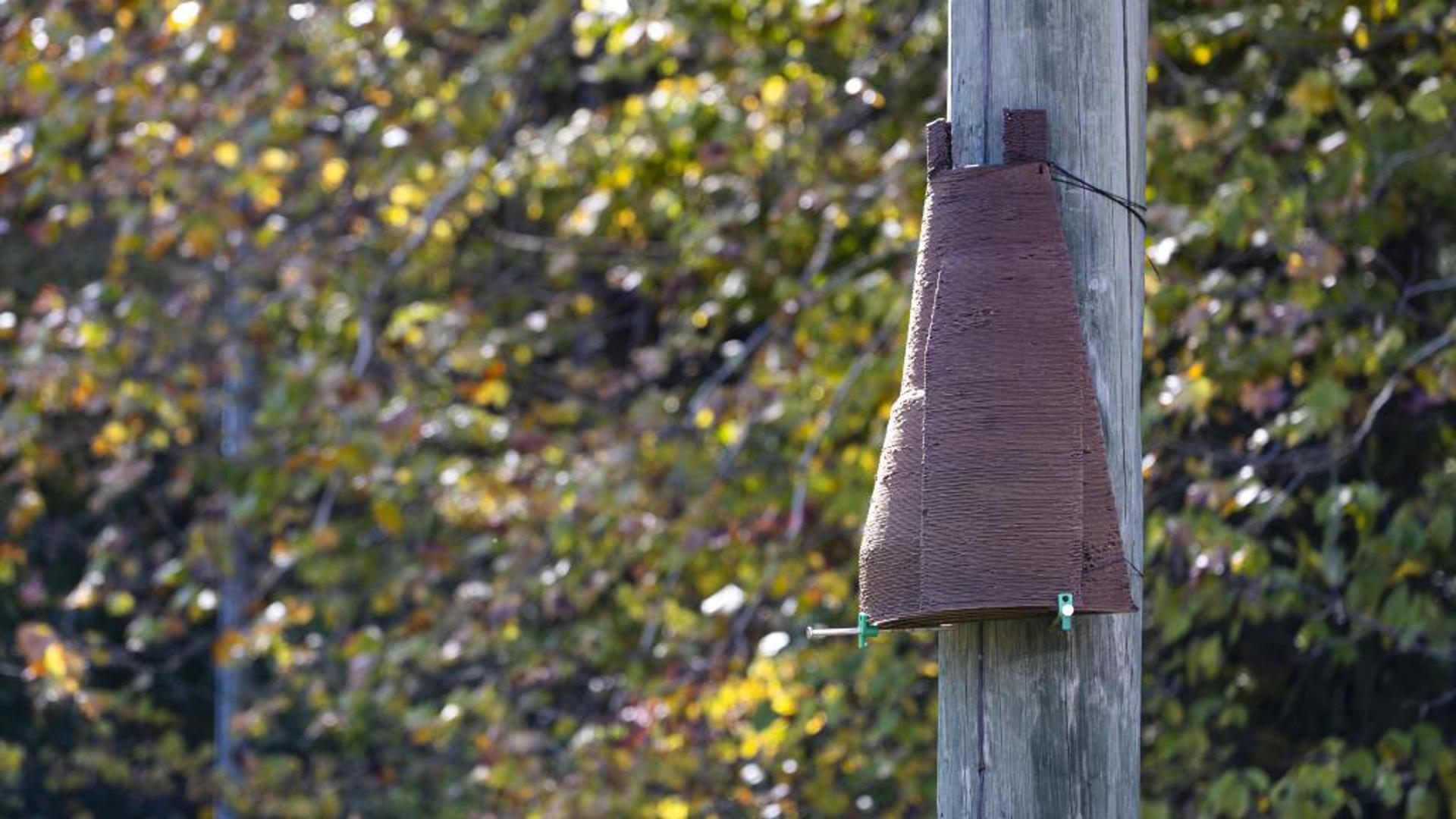 3D printed bat cave: ORNL uses biodegradable materials to help save species