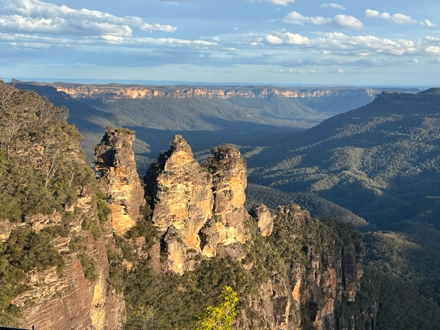 How to Make Trees Worth More Standing Than Cut Down