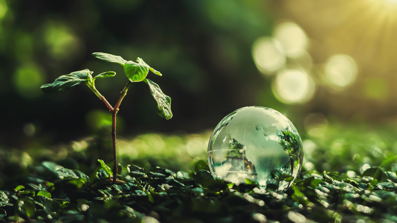 Canada Leads in Sustainability Standards with New Disclosure Framework