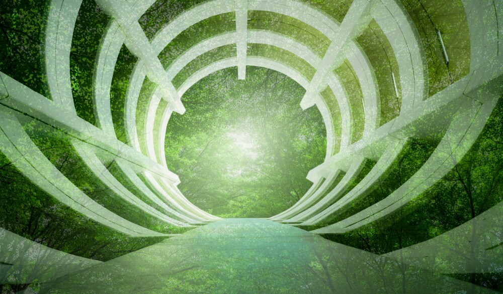 Asset Managers Emerge as Key Drivers of the Net Zero Transition