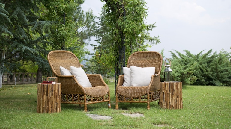 Green homes: Make your space eco-friendly and stylish with these expert tips