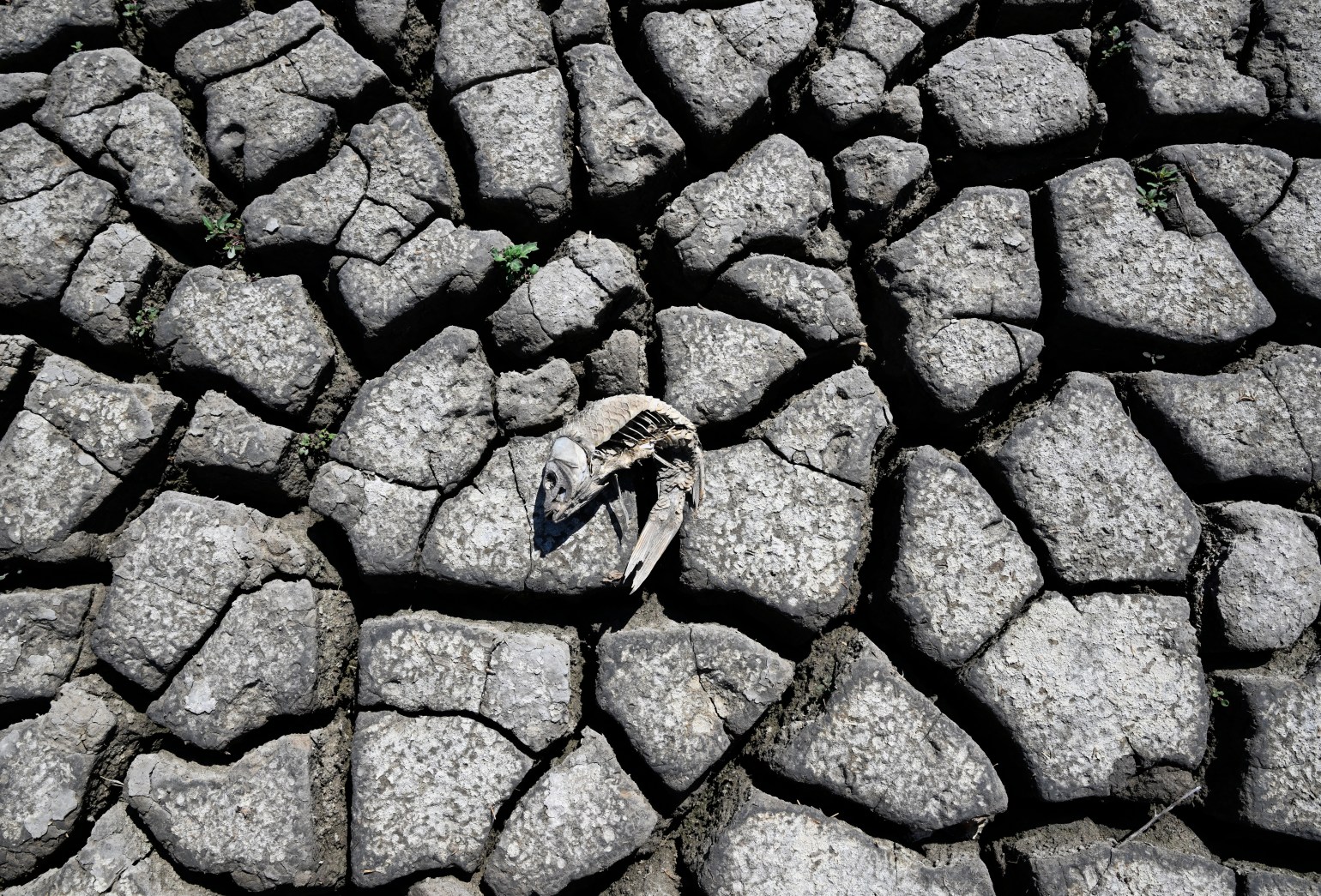 Extreme drought in Colorado could come every 6 years — instead of every 1,000 — due to climate change, study finds