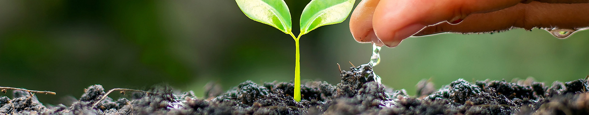 ESG in Financial Appraisals