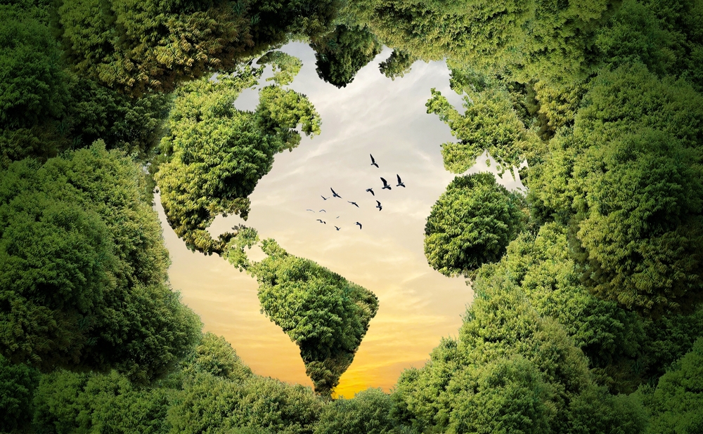 Clients Want ESG? These Funds Still Stand Out