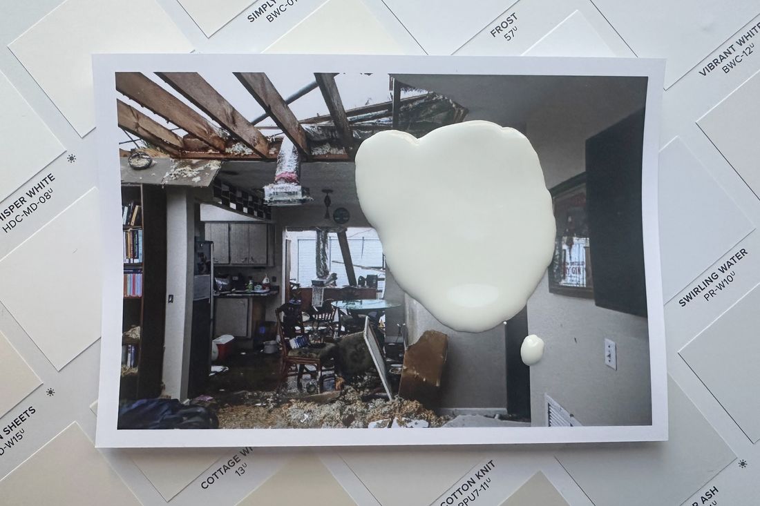 Why Does Home Depot Sell a White Paint Called Climate Change?