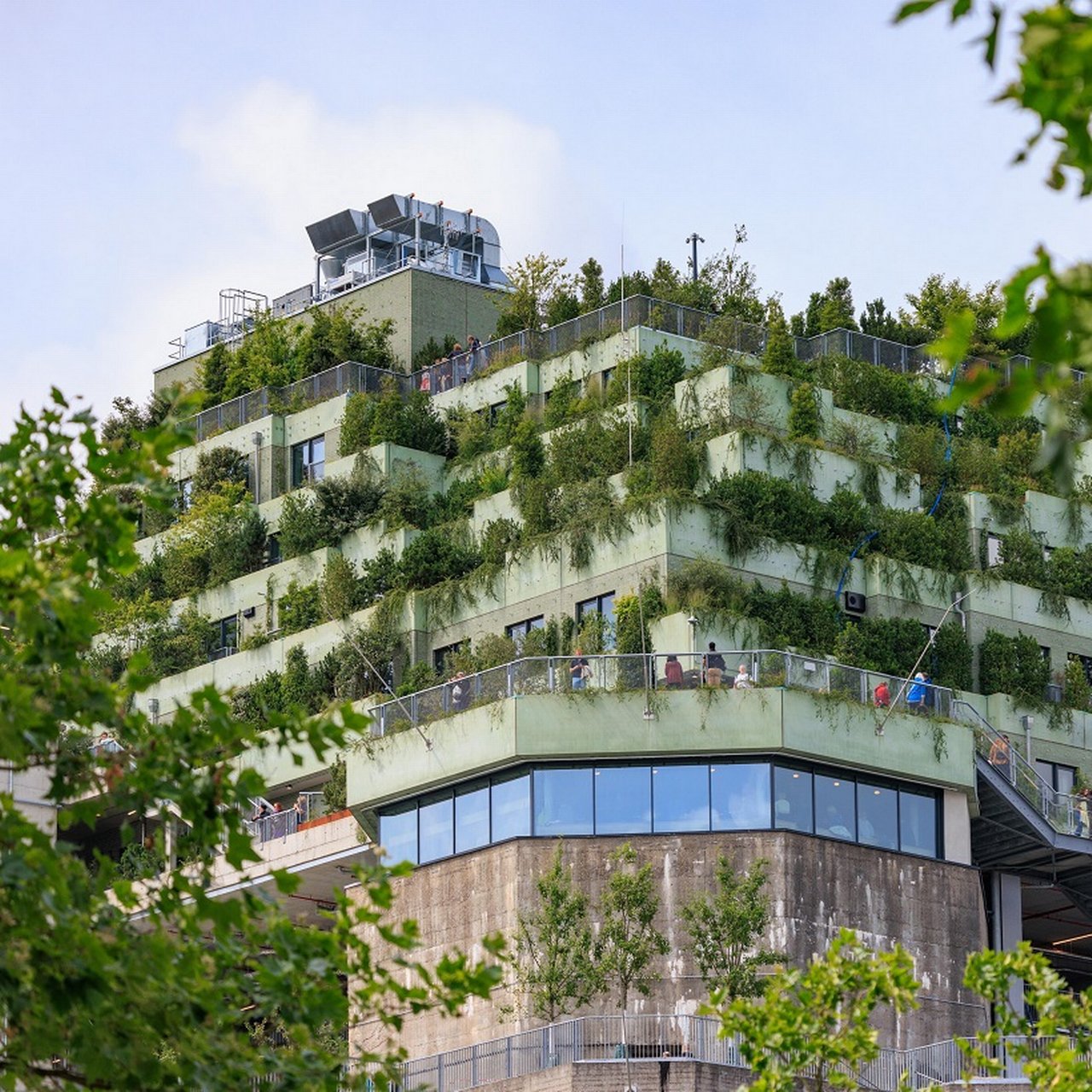 (Roof)top solutions for taming the rain