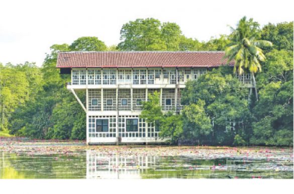 The revolutionaries of cool?