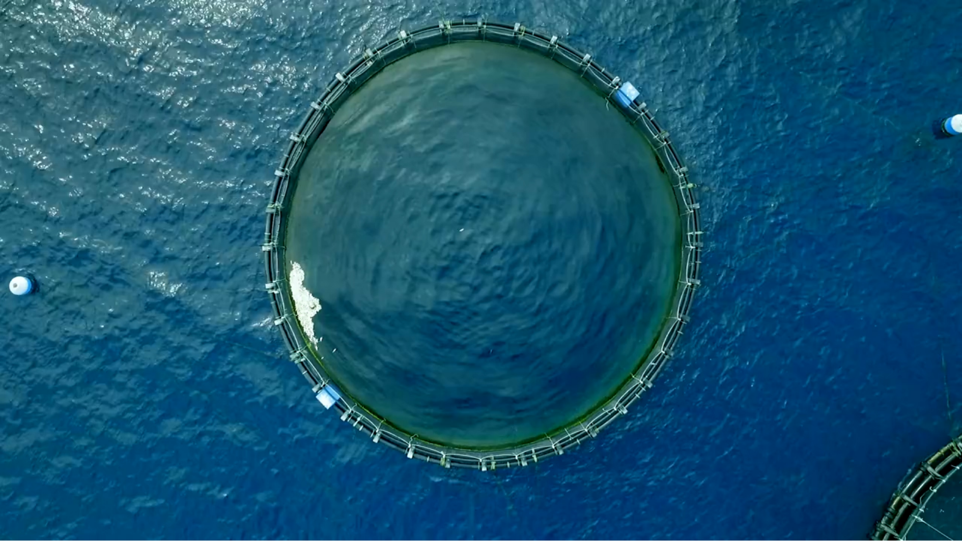 Debunking the top five sustainable investing myths