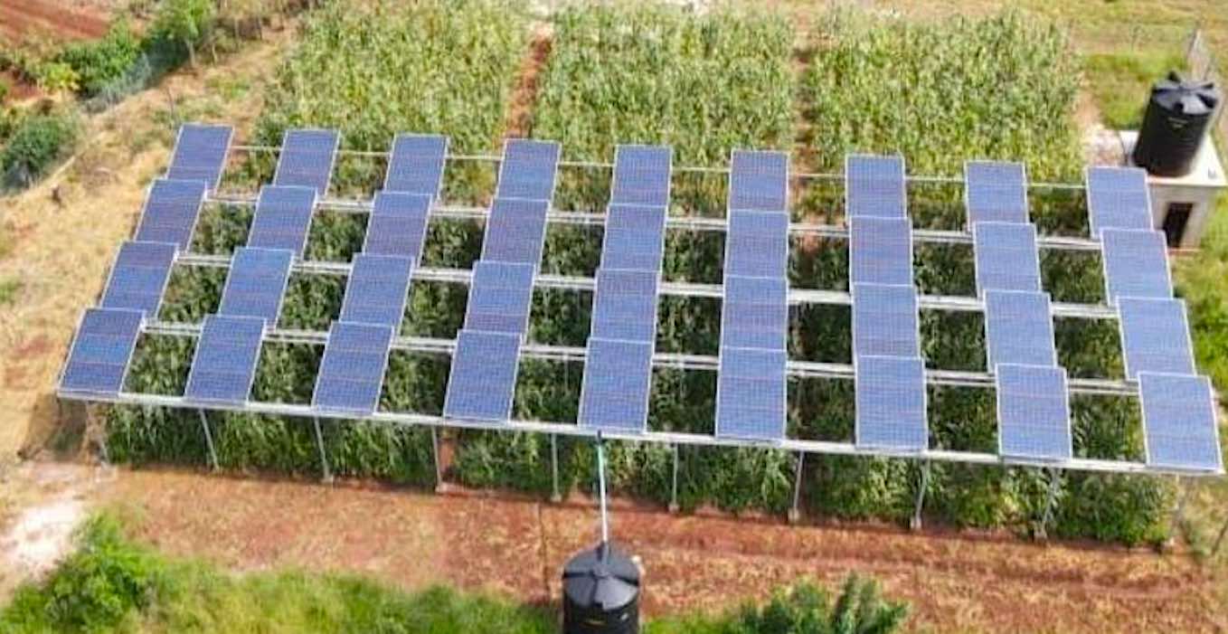 Another Study Shows Incredible Results of Pairing Solar Panels With Agriculture: ‘Getting more from the land’