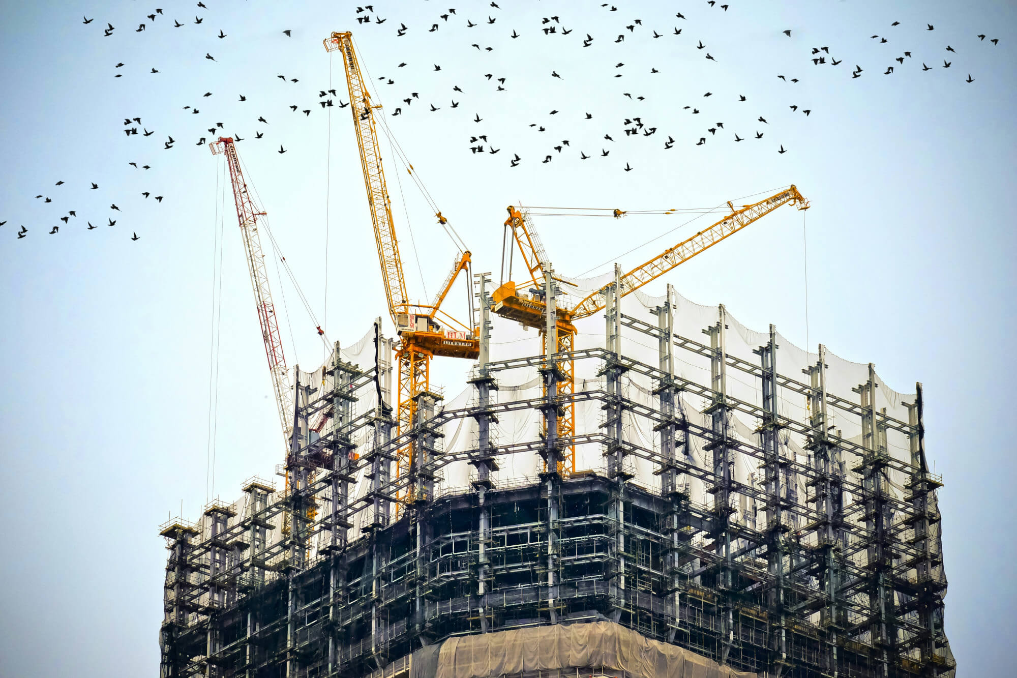 How to Reduce the Environmental Impact of the Construction Sector
