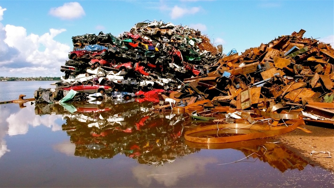 Scientists use fungus to transform commonly trashed items into valuable products: 'This breakthrough comes at a crucial time'