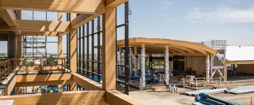 Is mass timber the eco-friendly future of building materials?