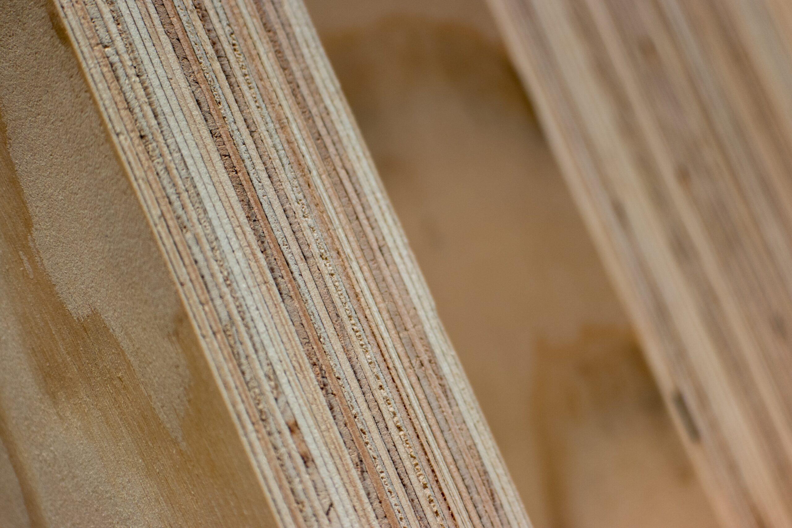 Exploring the Benefits and Challenges of Mass Timber
